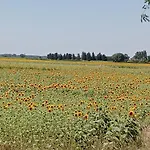 Toscana,lago Di * Massaciuccoli