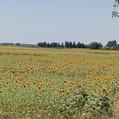 Toscana,lago Di * Massaciuccoli