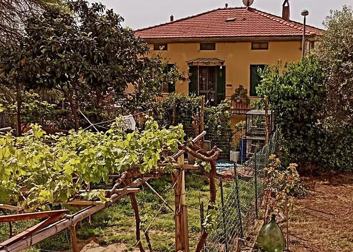 Toscana,lago Di Massaciuccoli